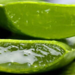 aloe-vera