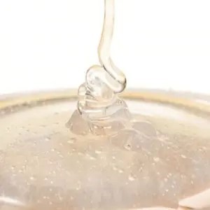 b5